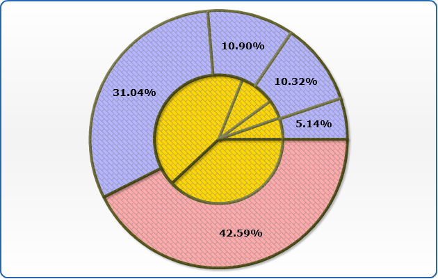 Application Of Pie Chart